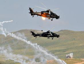 国产步兵区,探索中国现代步兵战术与装备发展之路